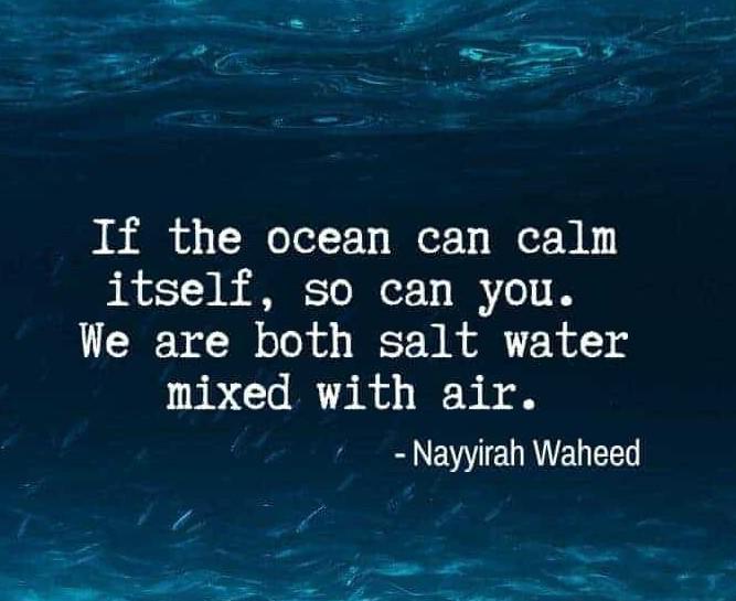 50+ Calm Sea Quotes to Inspire Tranquility 4 Calm Sea Quotes
