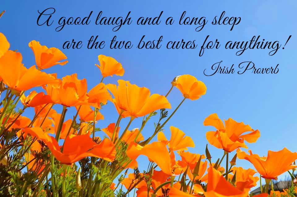 190 Sleep Quotes to Inspire Sweet Dreams 2 Sleep Quotes