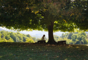 calm in chaos quotes