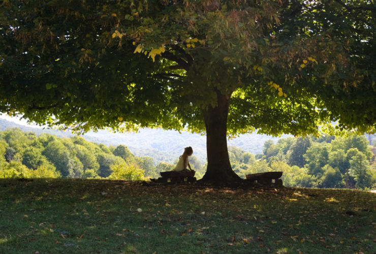 calm in chaos quotes