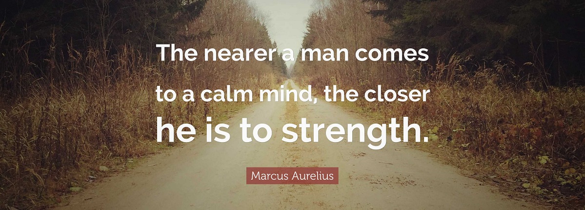 calm in chaos quotes