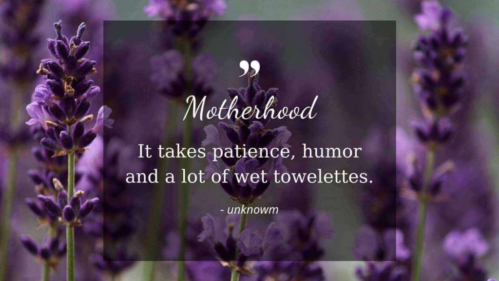 Funny Mothers Day Quotes