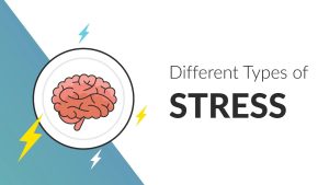 Types of Stress: A Guide to Understanding What You're Feeling