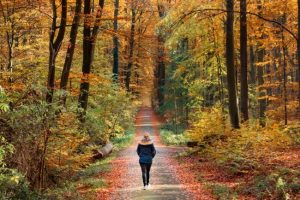 Walking Meditation: Benefits, Techniques & How to Get Started